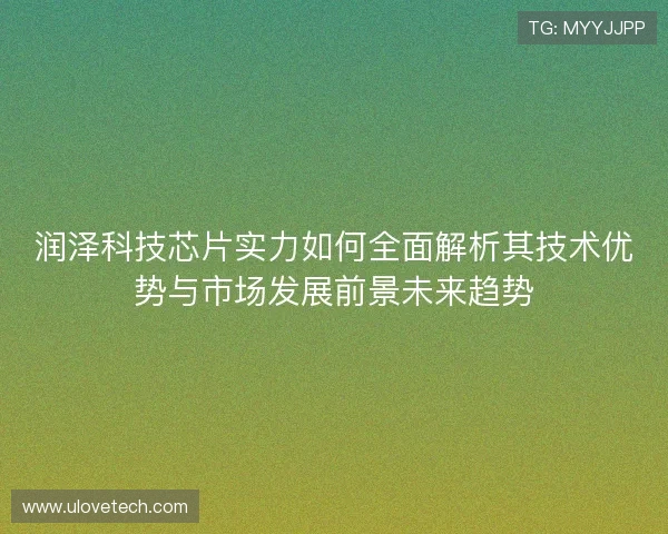 润泽科技芯片实力如何全面解析其技术优势与市场发展前景未来趋势